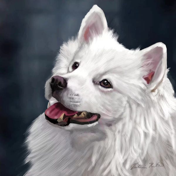 Vicki Newton: American Eskimo by Vicki Newton