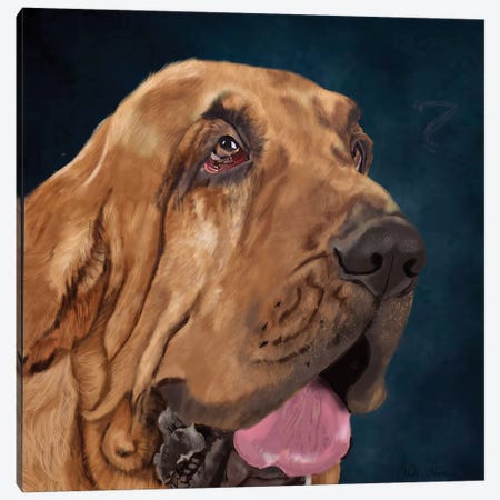Bloodhound Canvas Print #VNE74} by Vicki Newton Canvas Art Print