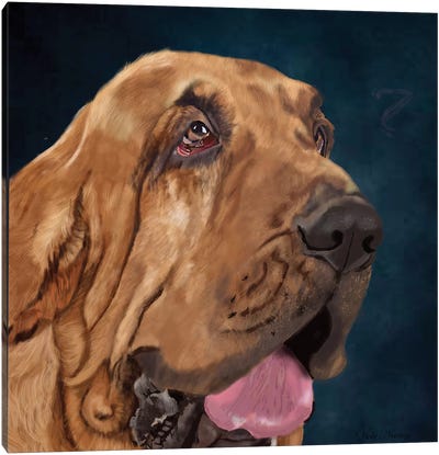 Bloodhound Canvas Art Print - Bloodhound Art