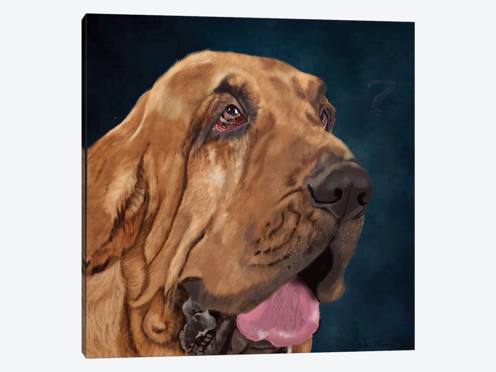 Bloodhound by Vicki Newton 1-piece Art Print