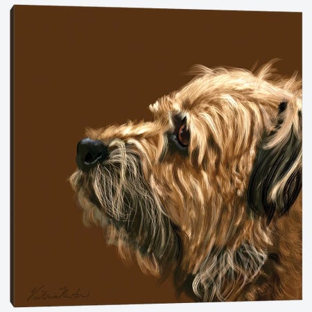 Border Terrier Canvas Print #VNE75} by Vicki Newton Art Print