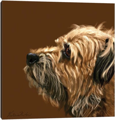 Border Terrier Canvas Art Print - Vicki Newton