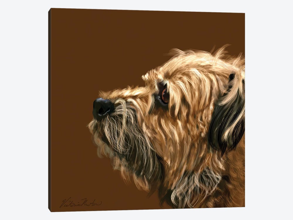 Border Terrier by Vicki Newton 1-piece Canvas Artwork