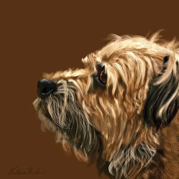 Vicki Newton: Border Terrier by Vicki Newton