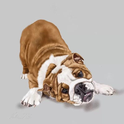 Bulldog Puppy by Vicki Newton metal wall art