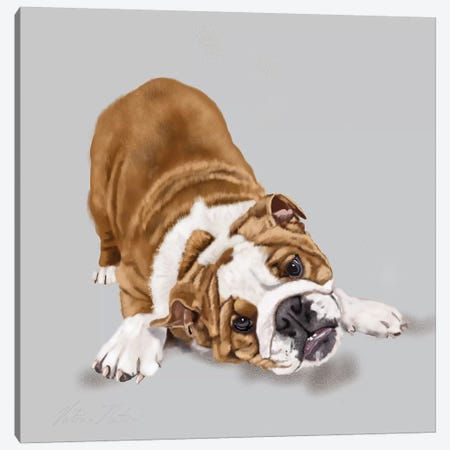 Bulldog Puppy Canvas Print #VNE77} by Vicki Newton Canvas Art Print