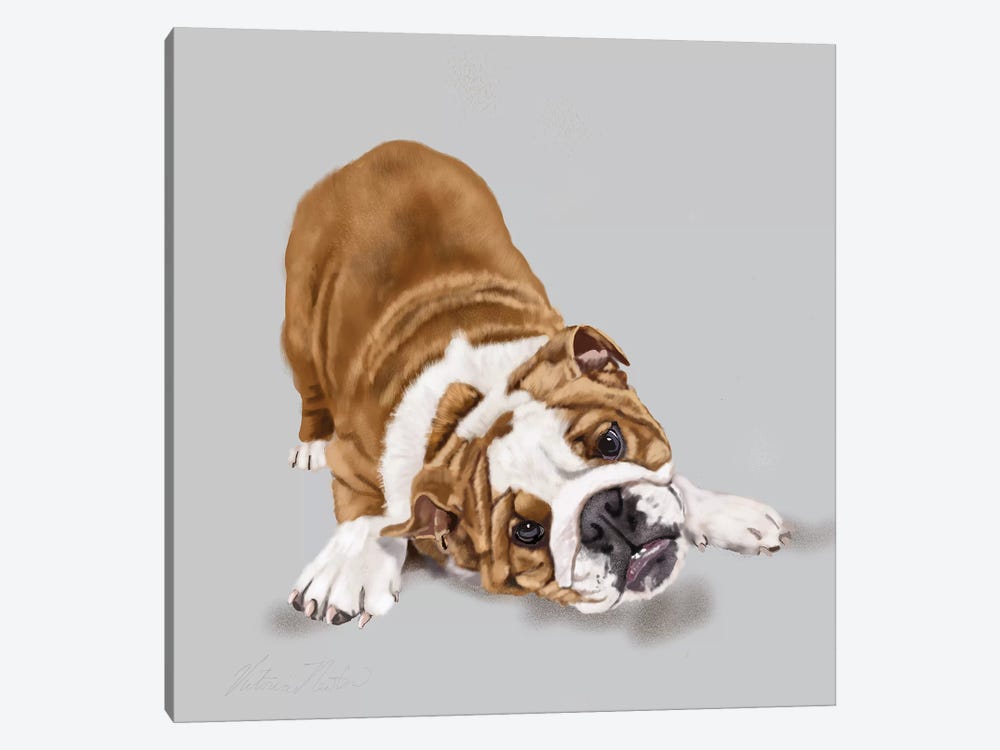 Bulldog Puppy 1-piece Canvas Wall Art
