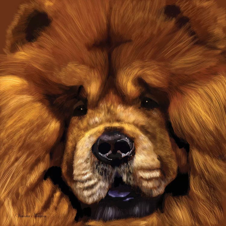 Chow Chow by Vicki Newton wall art