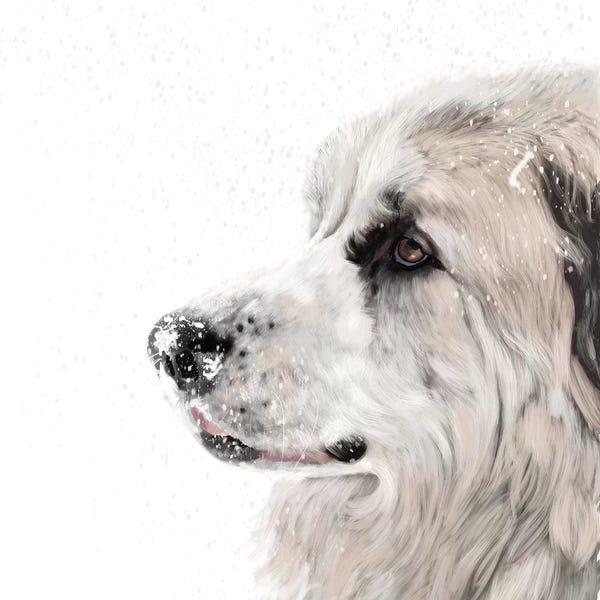 Vicki Newton: Great Pyrenees by Vicki Newton