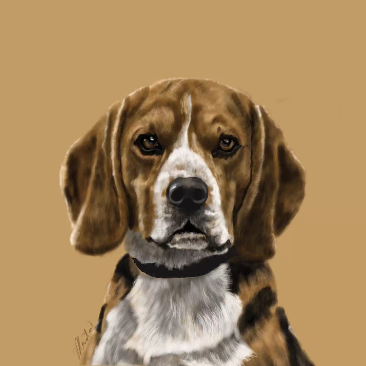 Beagle by Vicki Newton wall art