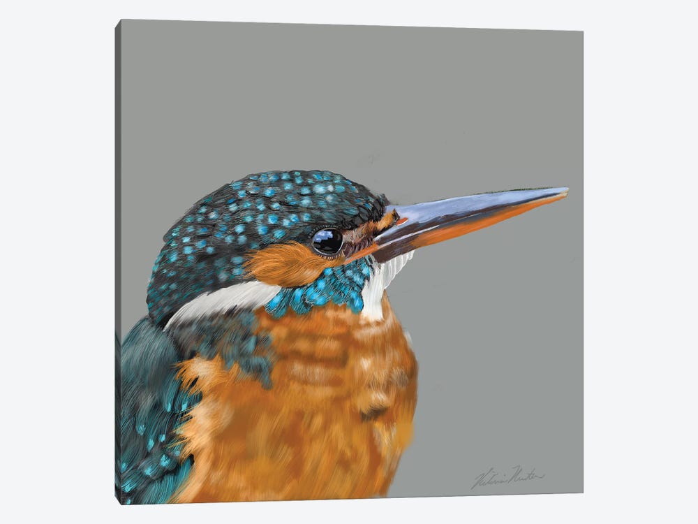 Kingfisher by Vicki Newton 1-piece Canvas Artwork