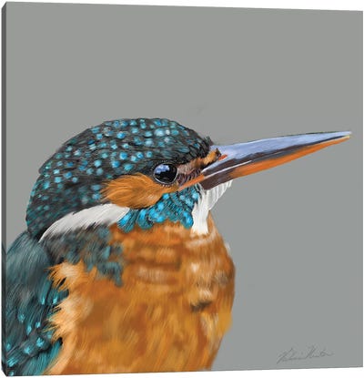 Kingfisher Canvas Art Print - Vicki Newton