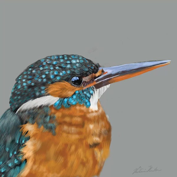 Vicki Newton: Kingfisher by Vicki Newton