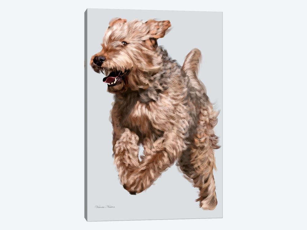 Otterhound in Flight by Vicki Newton 1-piece Canvas Artwork