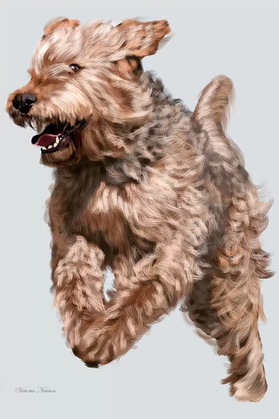 Vicki Newton: Otterhound in Flight by Vicki Newton