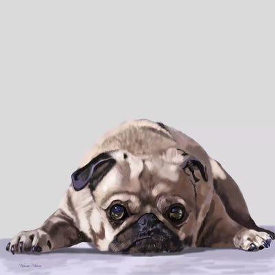 Pug Lying Down by Vicki Newton metal wall art
