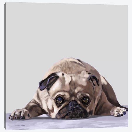 Pug Lying Down Canvas Print #VNE84} by Vicki Newton Canvas Art