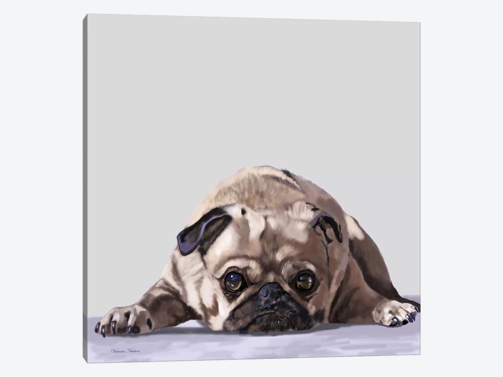 Pug Lying Down by Vicki Newton 1-piece Canvas Artwork