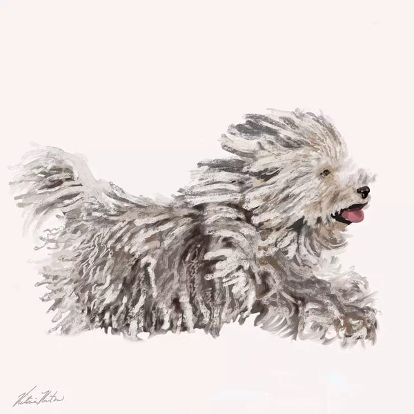 Vicki Newton: Puli by Vicki Newton