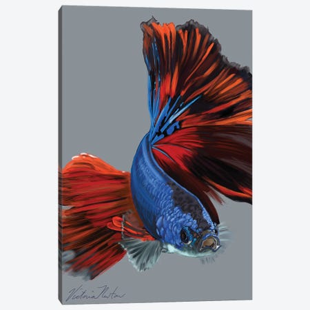 Siamese Fighting Fish Canvas Print #VNE86} by Vicki Newton Canvas Art