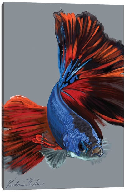 Siamese Fighting Fish Canvas Art Print - Vicki Newton