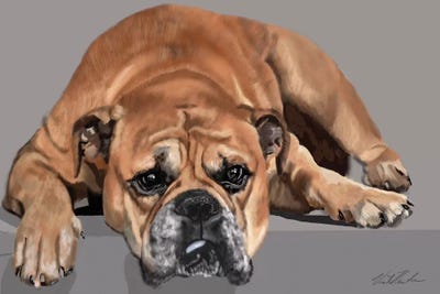 Boxer Resting by Vicki Newton multi panel art