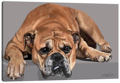 Boxer Resting Canvas Art Print - Vicki Newton