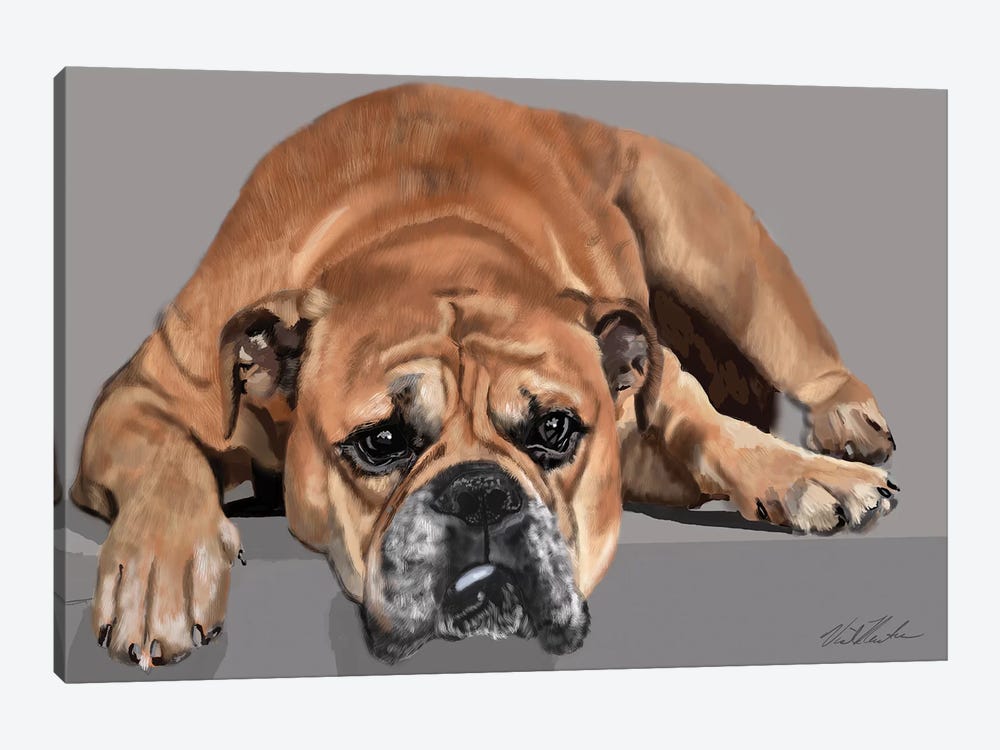 Boxer Resting by Vicki Newton 1-piece Canvas Art