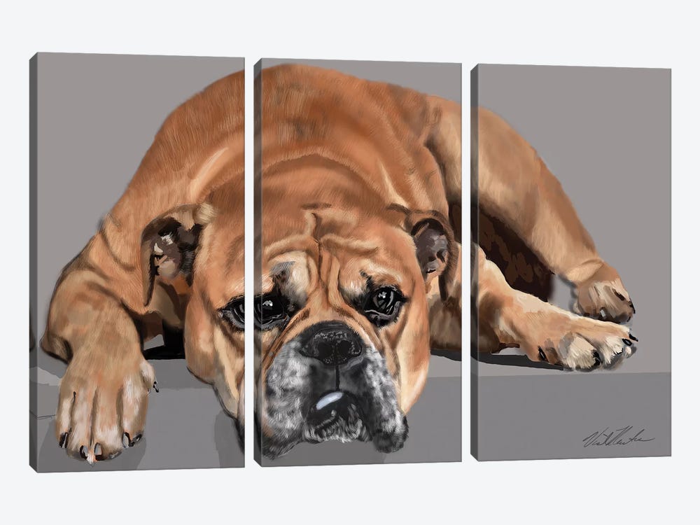 Boxer Resting by Vicki Newton 3-piece Canvas Art