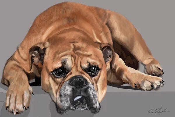 Vicki Newton: Boxer Resting by Vicki Newton