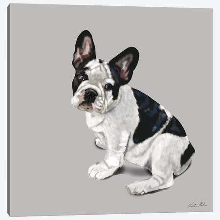 French Bulldog Waiting Canvas Print #VNE90} by Vicki Newton Canvas Wall Art