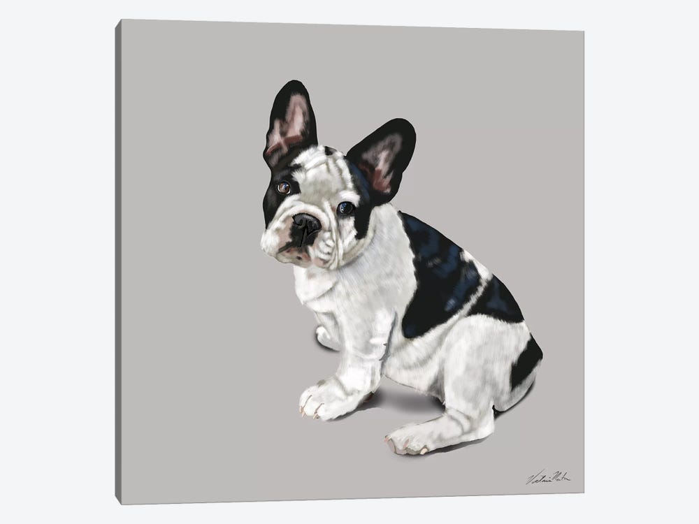 French Bulldog Waiting by Vicki Newton 1-piece Canvas Print