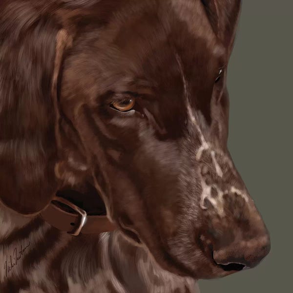 Vicki Newton: German Shorthaired Pointer by Vicki Newton