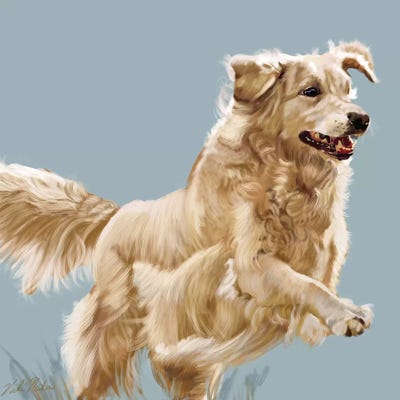 Golden Retriever Leaping by Vicki Newton art print
