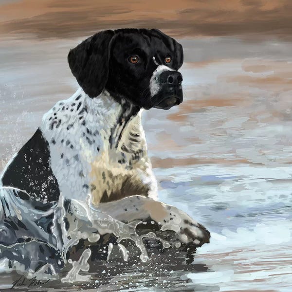 Vicki Newton: Pointer by Vicki Newton