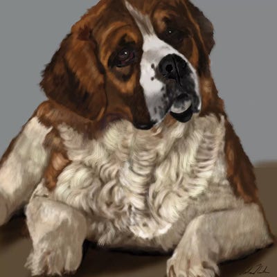 Saint Bernard by Vicki Newton canvas print