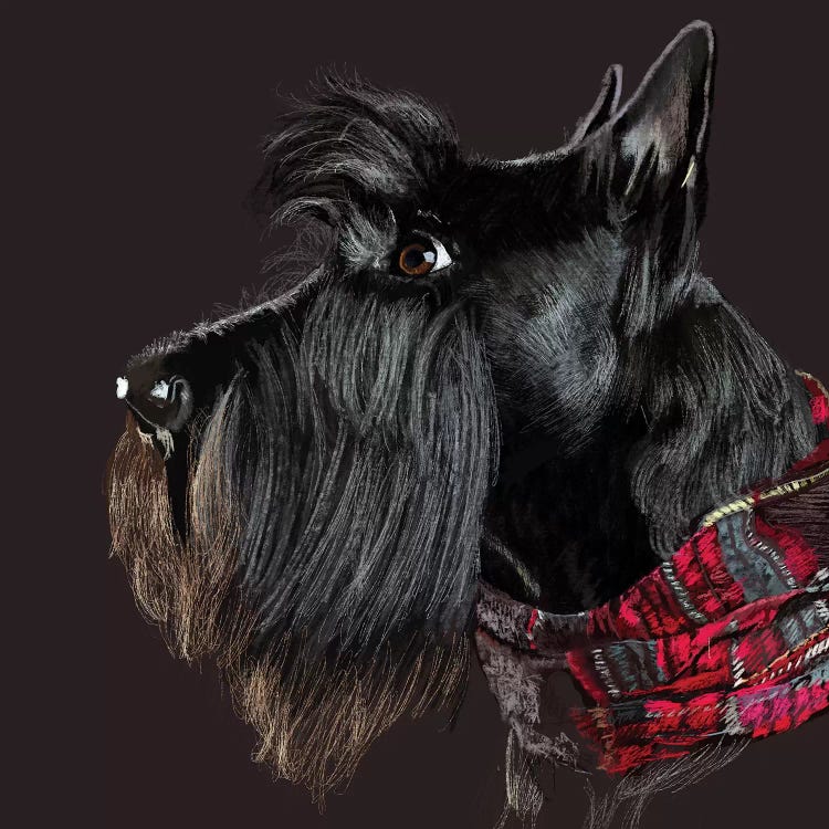 Scottie In Scarf by Vicki Newton wall art
