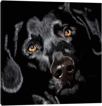 Black Lab On Black Canvas Art Print - Best Selling Dog Art