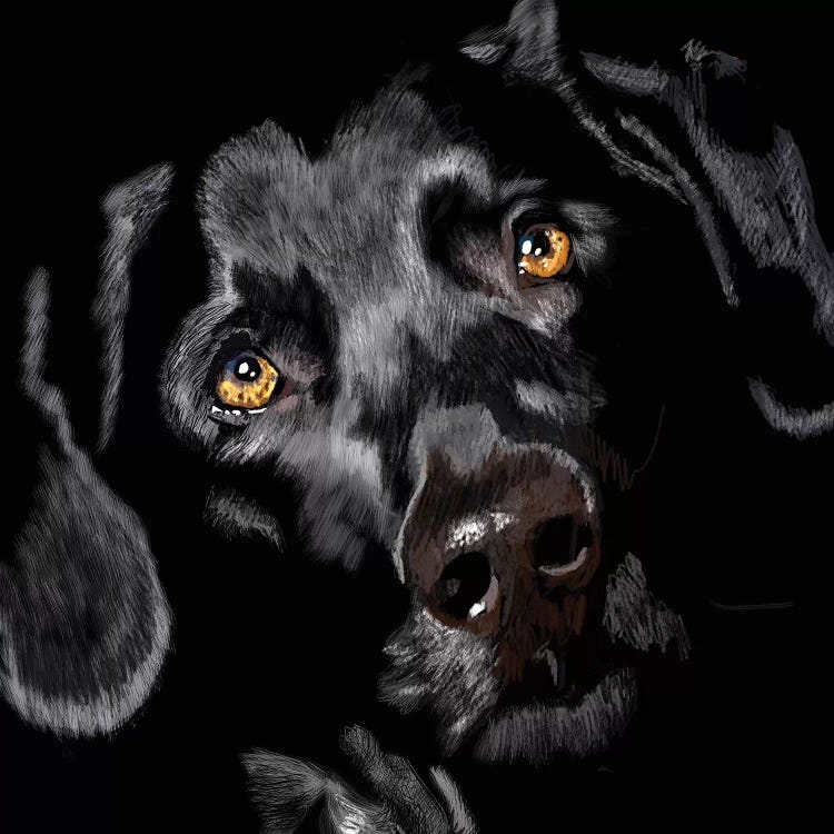 Black Lab On Black by Vicki Newton wall art
