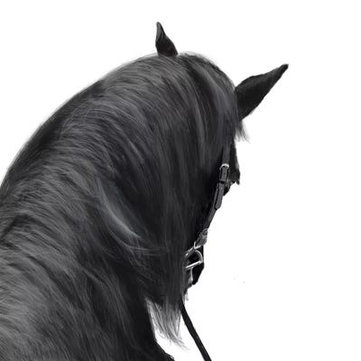 In The Saddle by Vicki Newton multi panel art