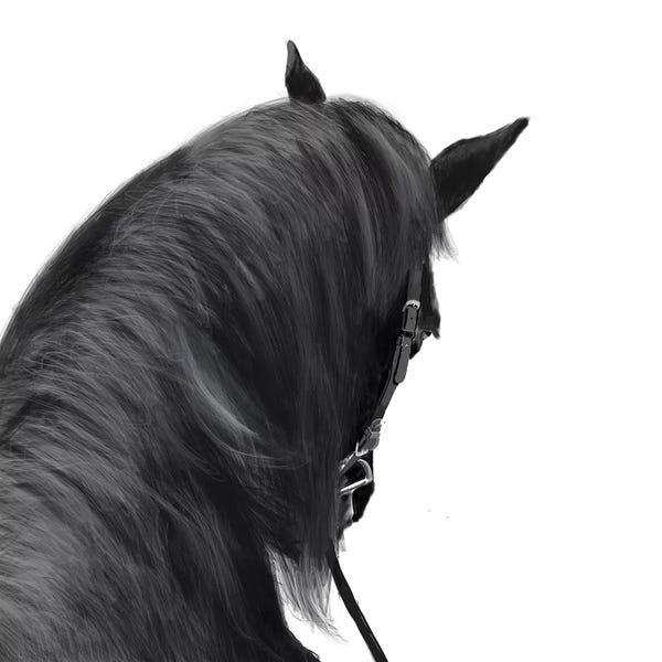 Vicki Newton: In The Saddle by Vicki Newton