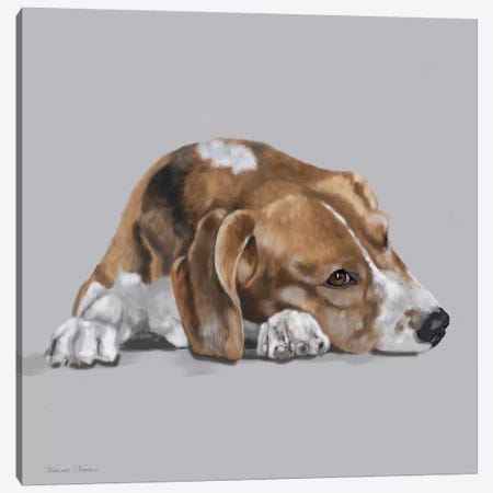Beagle Lyng Down Canvas Print #VNE9} by Vicki Newton Art Print