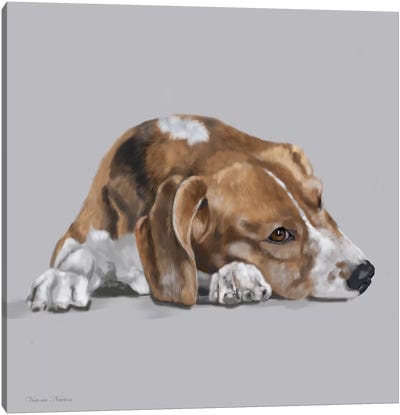 Beagle Lyng Down Canvas Art Print - Vicki Newton