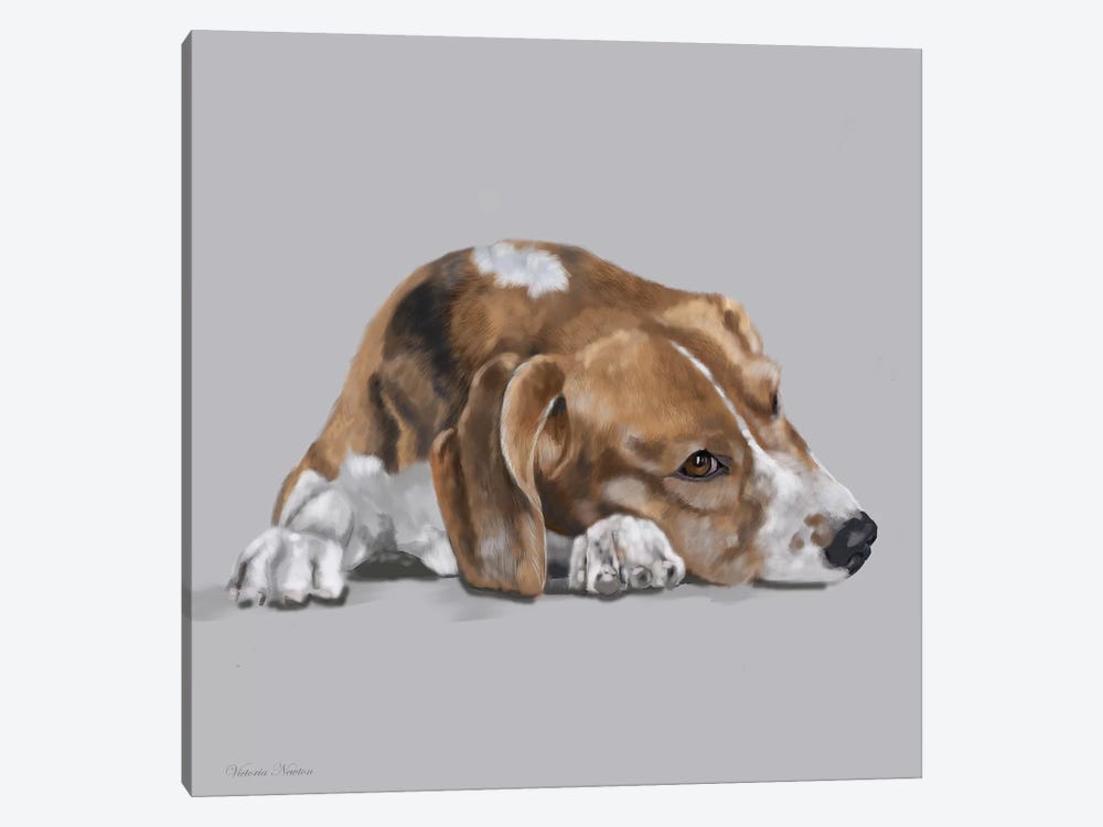 Beagle Lyng Down by Vicki Newton 1-piece Canvas Art