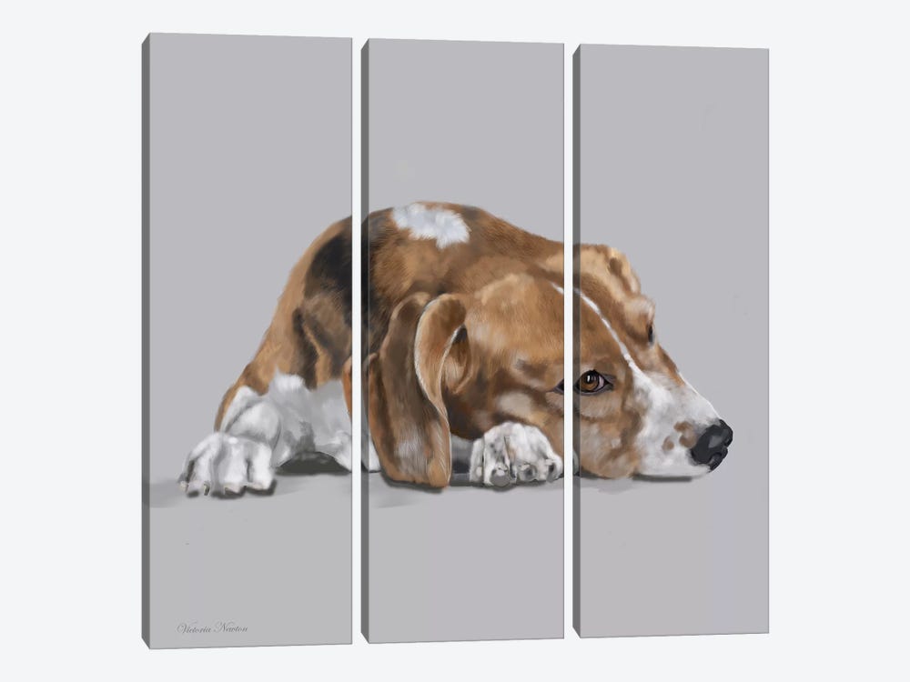 Beagle Lyng Down by Vicki Newton 3-piece Canvas Art