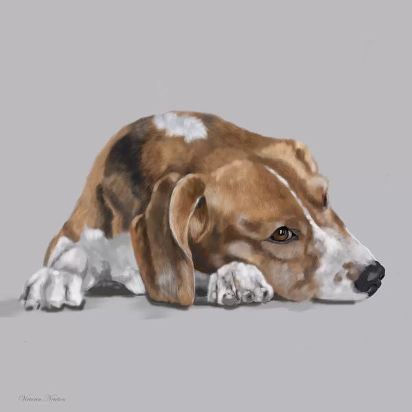 Vicki Newton: Beagle Lyng Down by Vicki Newton