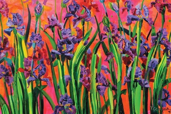 Irises: Pure Joy II by Vanya Georgieva
