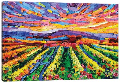 Golden Vineyards Canvas Art Print - Field, Grassland & Meadow Art