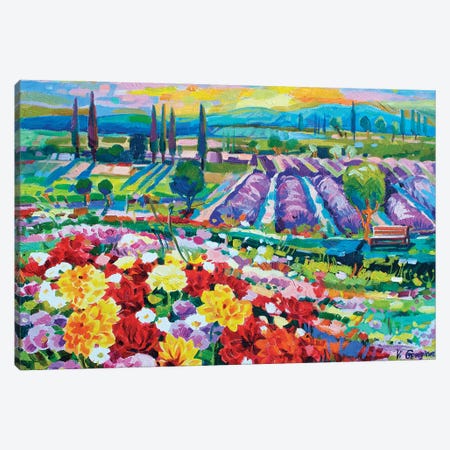 Colorful field Canvas Print #VNY14} by Vanya Georgieva Canvas Art Print