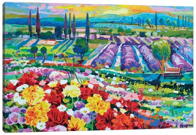 Colorful field Canvas Art Print - Cypress Tree Art